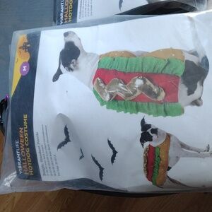 Vibrant Life Halloween Hotdog Dog Costume